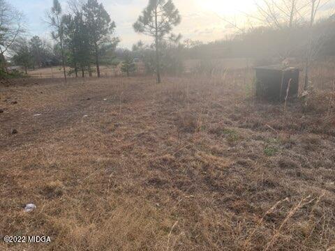 5761 Fulton Mill Road Lizella, GA 31052 - Photo 4 of 6 a view of a dry yard with trees