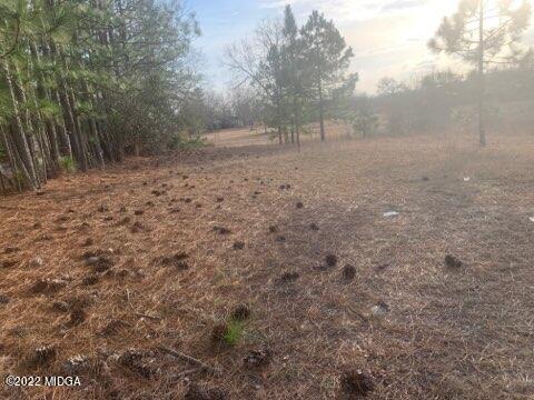 5761 Fulton Mill Road Lizella, GA 31052 - Photo 6 of 6 a view of dirt yard with a tree