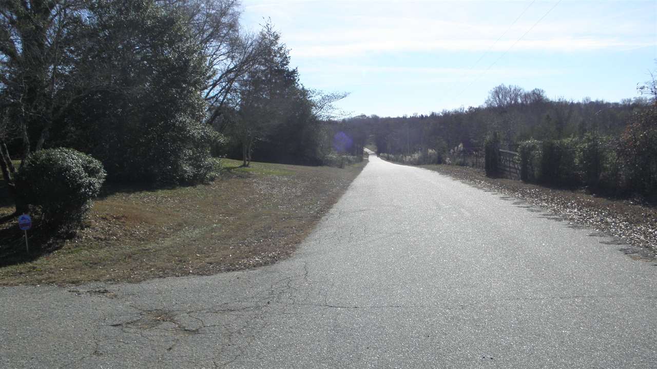 314 McAlister Road Pendleton, SC 29670 - Photo 20 of 21