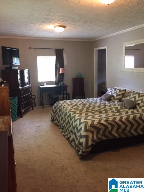 139 David Road Childersburg, AL 35044 - Photo 5 of 16