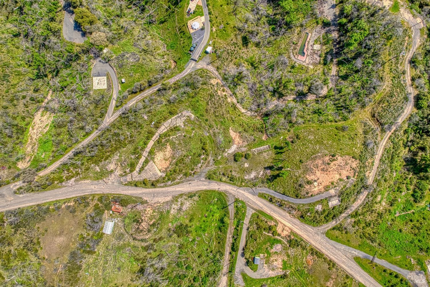 5851 Lake Ridge Road Ukiah, CA 95482 - Photo 15 of 17 a picture of a tree with a plant