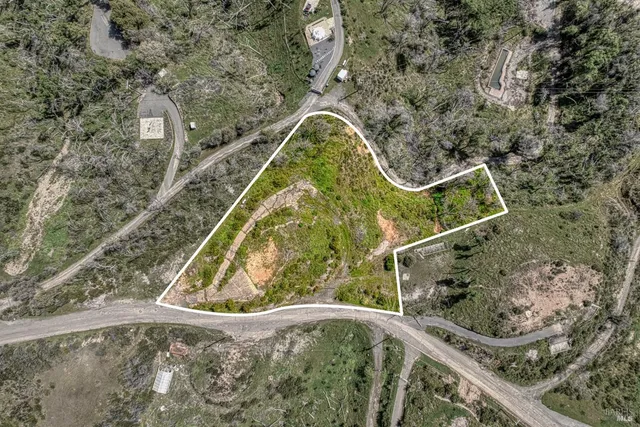 a view of a swimming pool with a potted plants