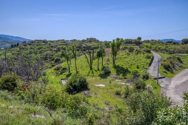 a view of a city with lush green forest