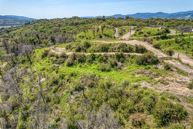 a view of a city with green field