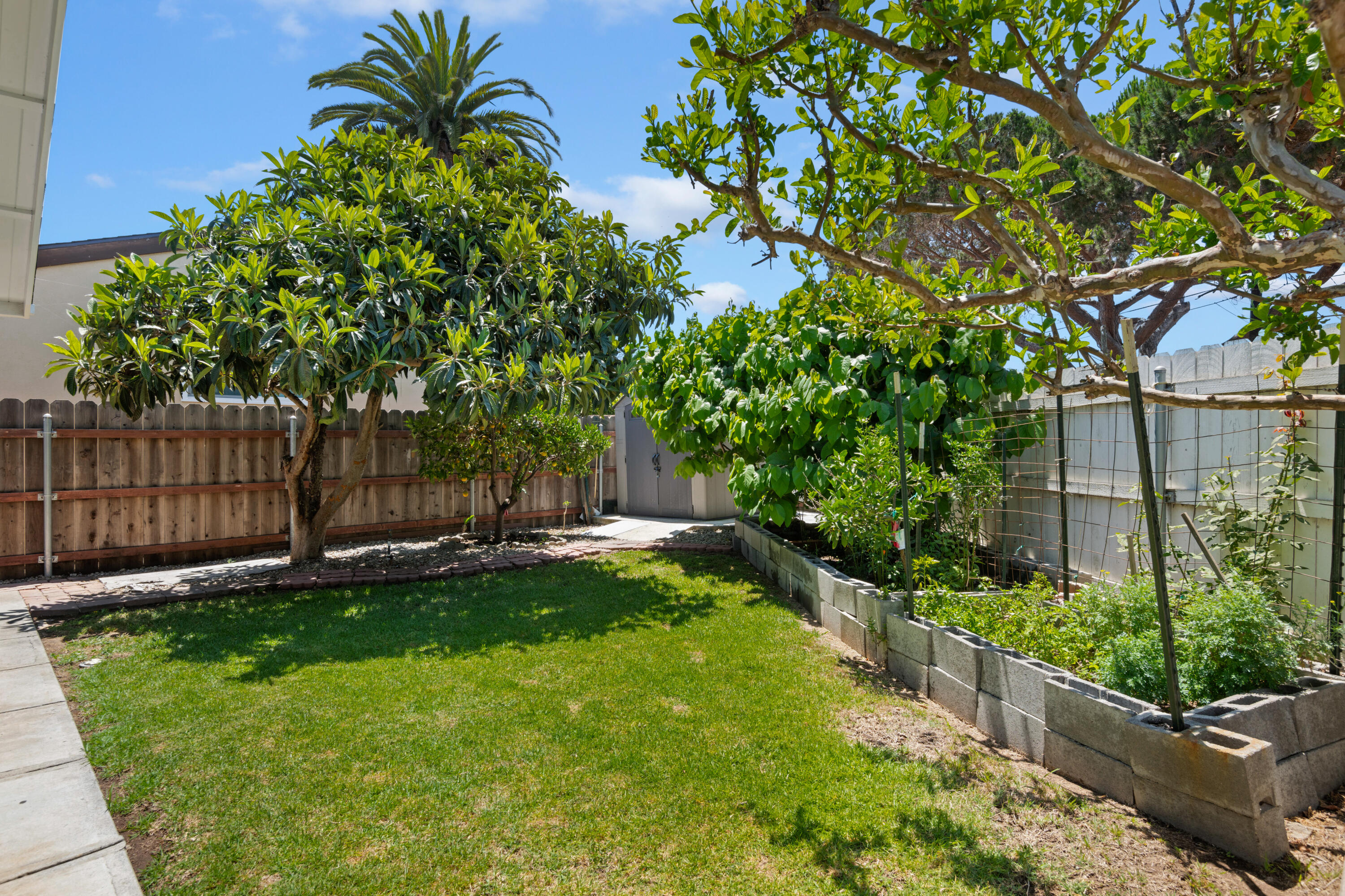 4617 9th Street Carpinteria, CA 93013 - Photo 17 of 19 Backyard with various fruit trees