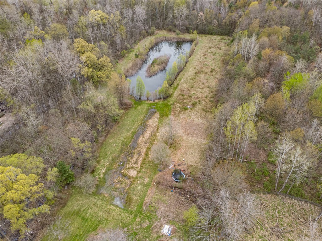 4173 Hosey Road Palmyra, NY 14522 - Photo 6 of 32
