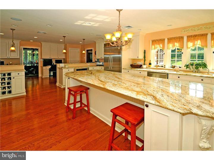 1000 Leopard Road Rydal, PA 19046 - Photo 7 of 25 Kitchen
