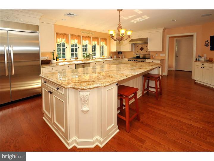 1000 Leopard Road Rydal, PA 19046 - Photo 8 of 25 Kitchen