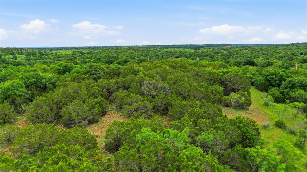 Tbd Dobbs Valley Road Millsap, TX 76066 - Photo 10 of 13 Gallery Image 10