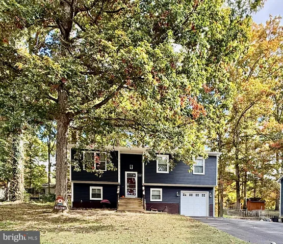 a house with trees in front of it