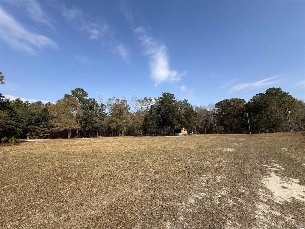 7262 North Brewington Road Alcolu, SC 29001 - Photo 5 of 8 Gallery Image 5