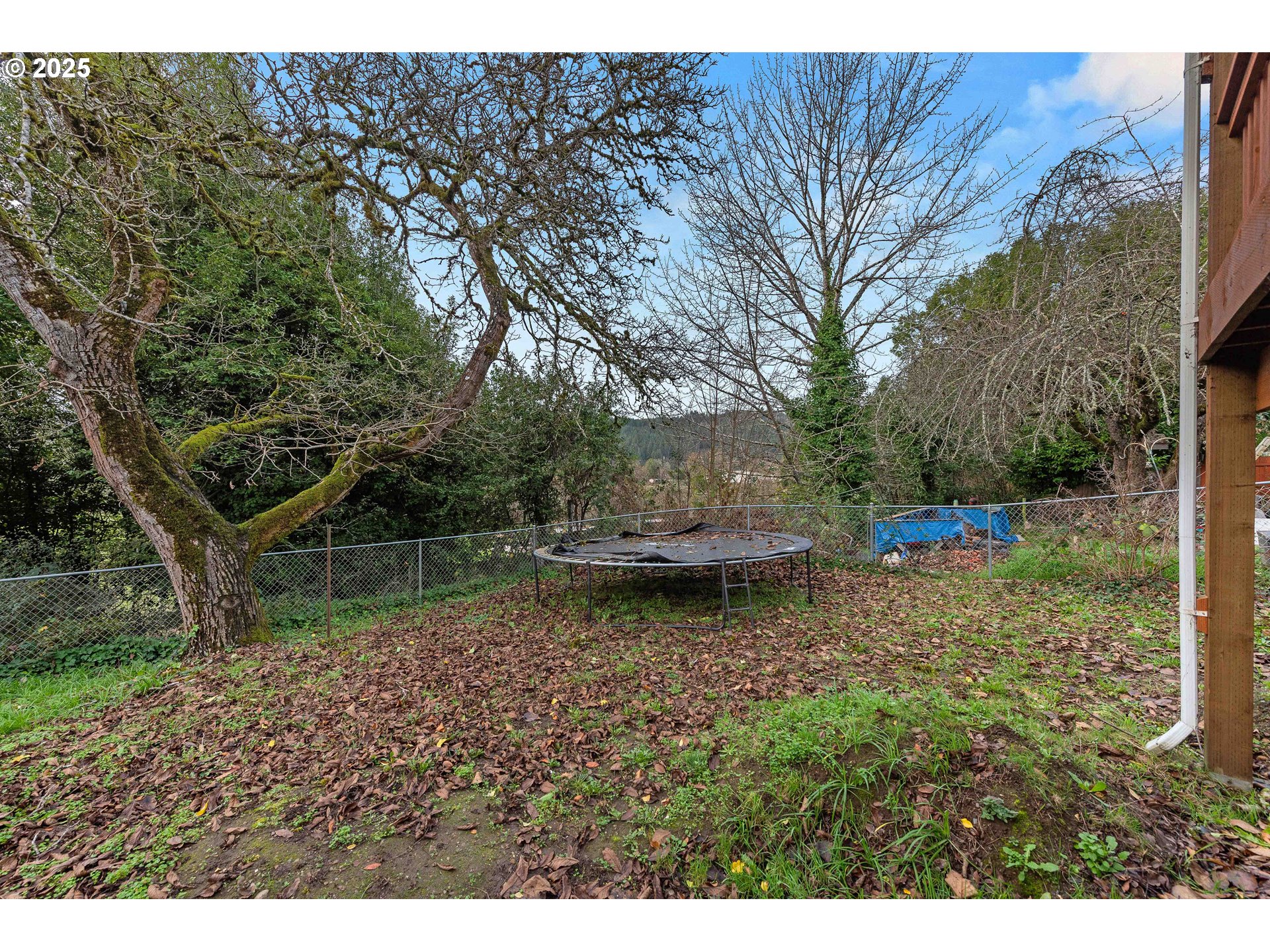 644 4th Street Myrtle Point, OR 97458 - Photo 36 of 45