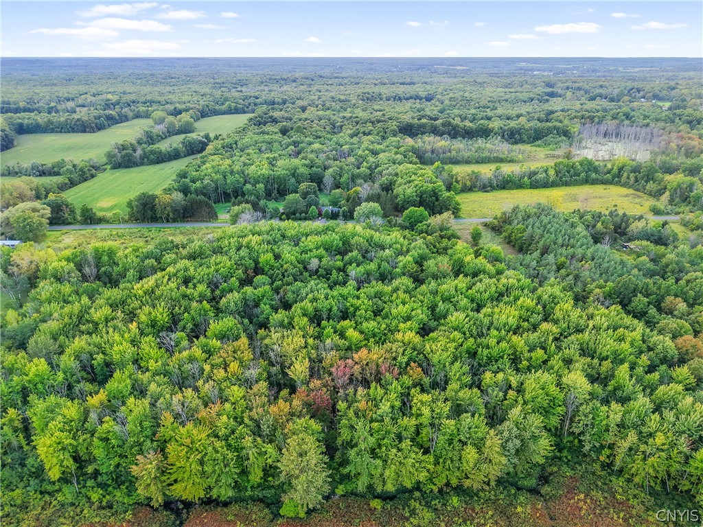 12956 Timerson Road Victory, NY 13143 - Photo 8 of 9 Gallery Image 8