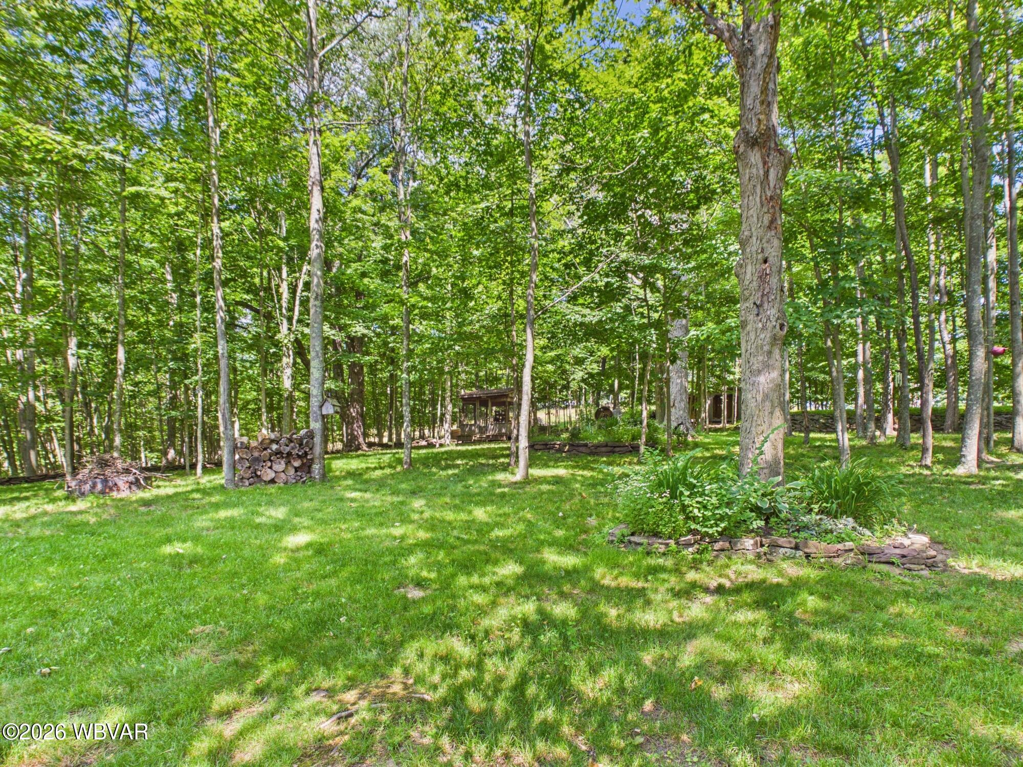 94 Davey Road Roaring Branch, PA 17765 - Photo 38 of 40 Gallery Image 38