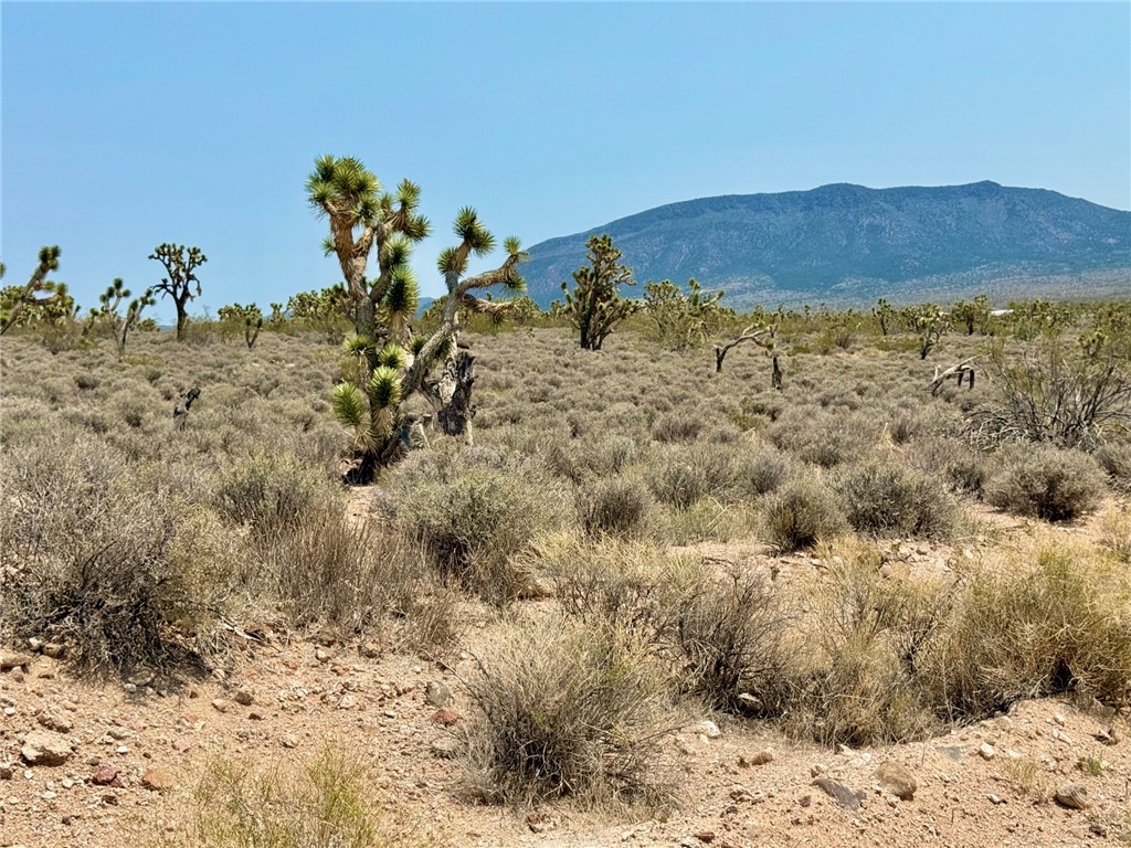 26681 Yucca Meadview, AZ 86444 - Photo 5 of 25 a view of a wooden floor with a mountain