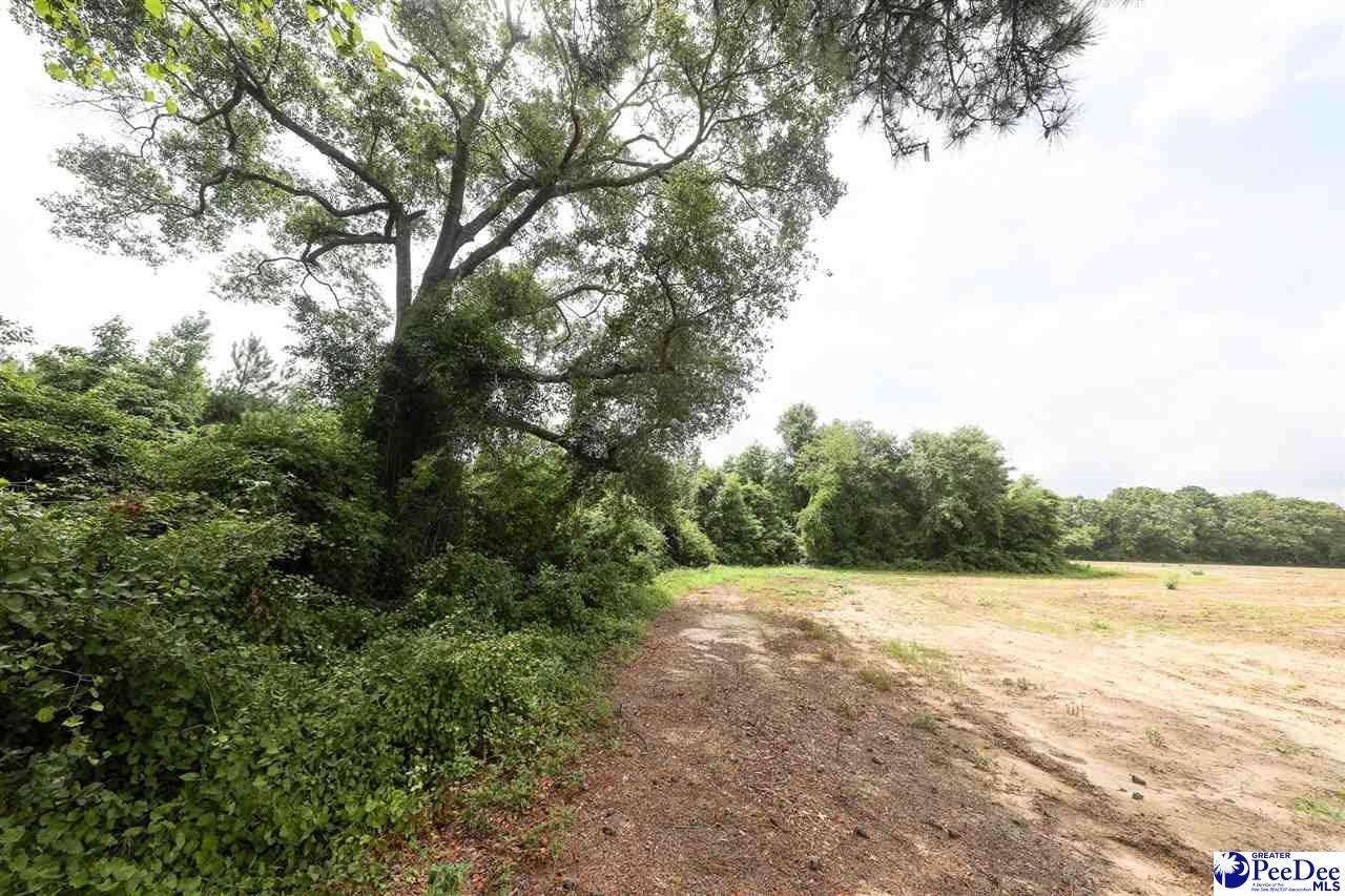 26-acres Una Road Lamar, SC 29069 - Photo 7 of 14 Gallery Image 7