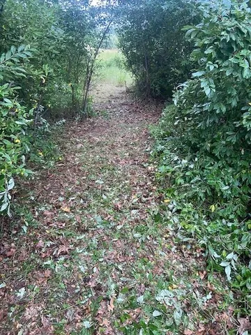 $800,000 | 0 Phal Road, Grass Lake, MI 49240