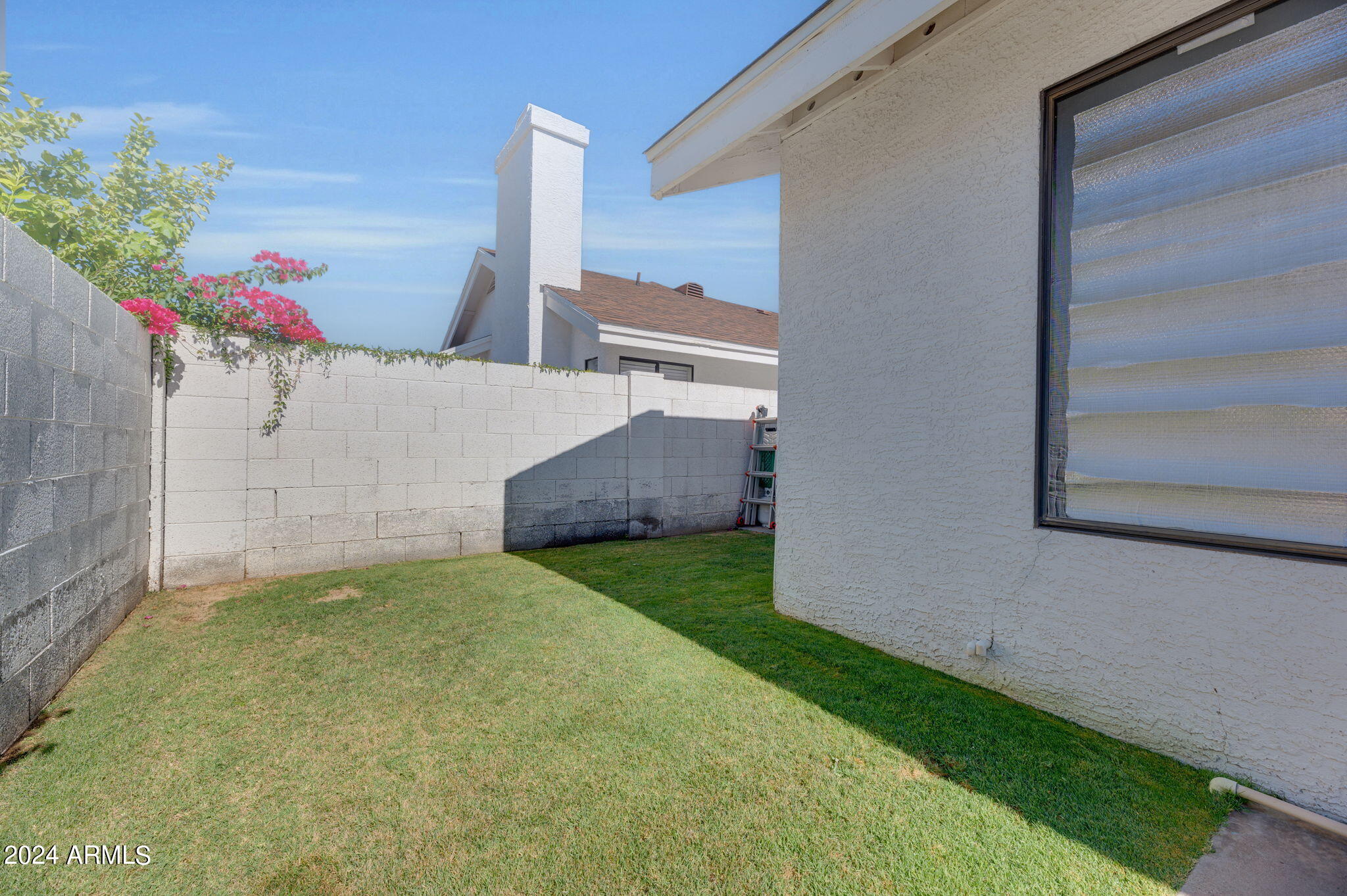 3305 East Clark Road Phoenix, AZ 85050 - Photo 24 of 28 grass backyard area