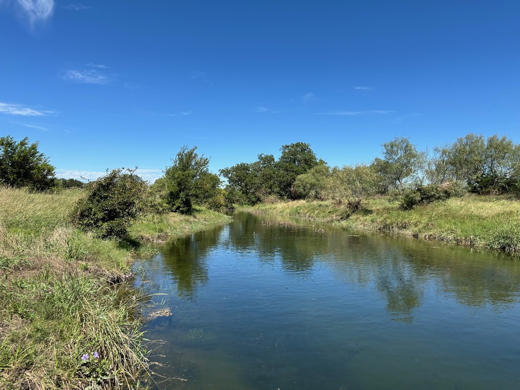 6248 County Road 330 Bertram, TX 78605 - Photo 2 of 10 a view of a lake with houses