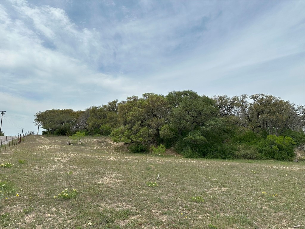 6248 County Road 330 Bertram, TX 78605 - Photo 3 of 10 a view of a field with an trees