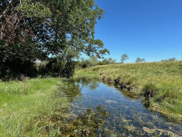 a view of a lake with a mountain