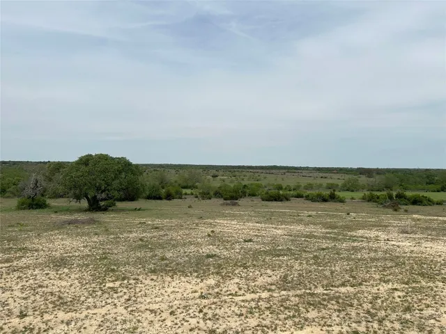 a view of a field with an ocean
