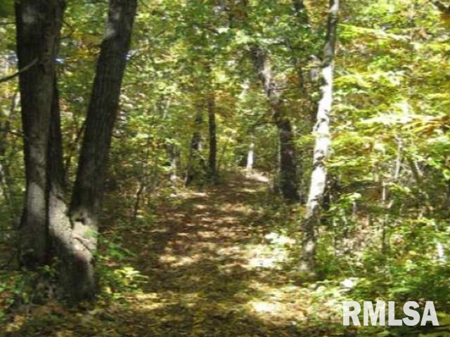 0 West Singing Woods Road Dunlap, IL 61525 - Photo 21 of 78 Gallery Image 21