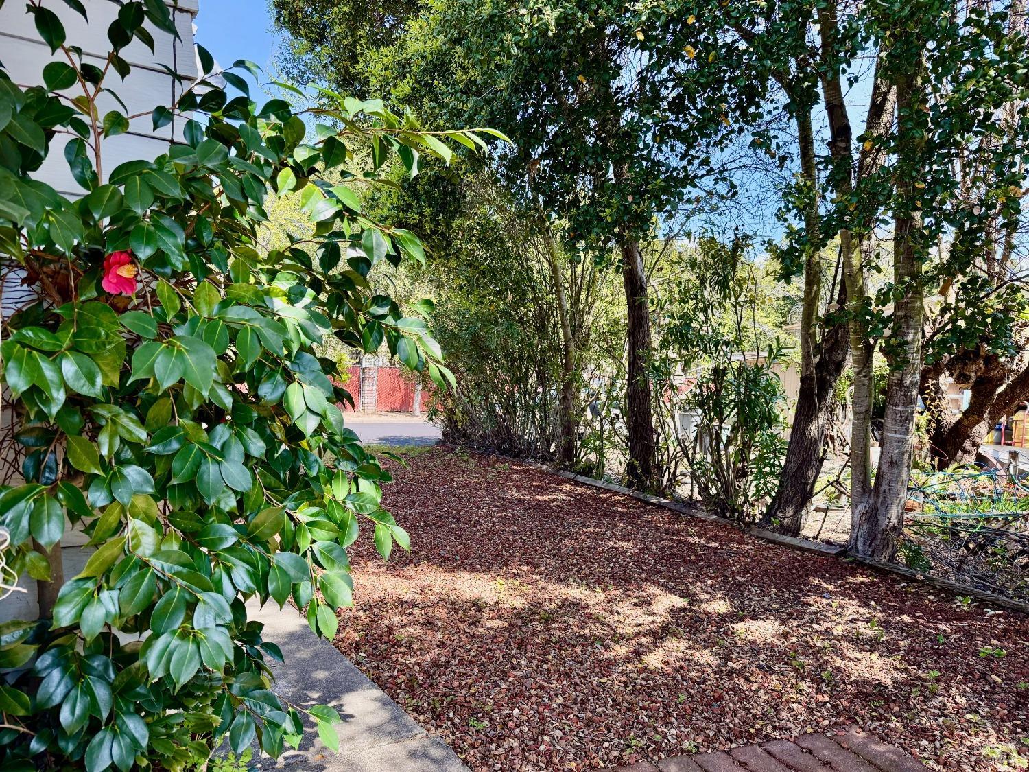 127 Salisbury Circle Santa Rosa, CA 95401 - Photo 18 of 19