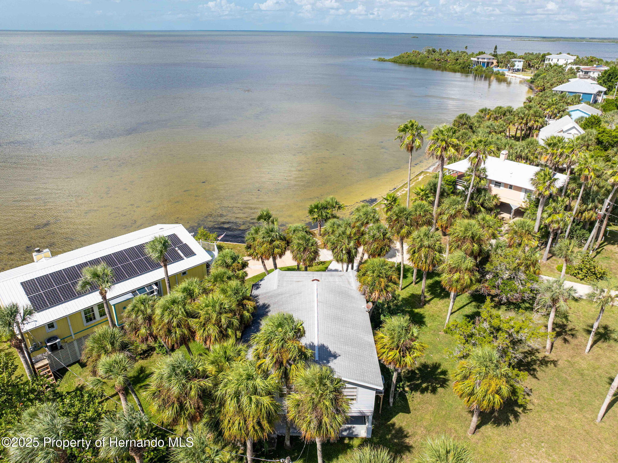 3446 Bayview Avenue Weeki Wachee, FL 34607 - Photo 6 of 62