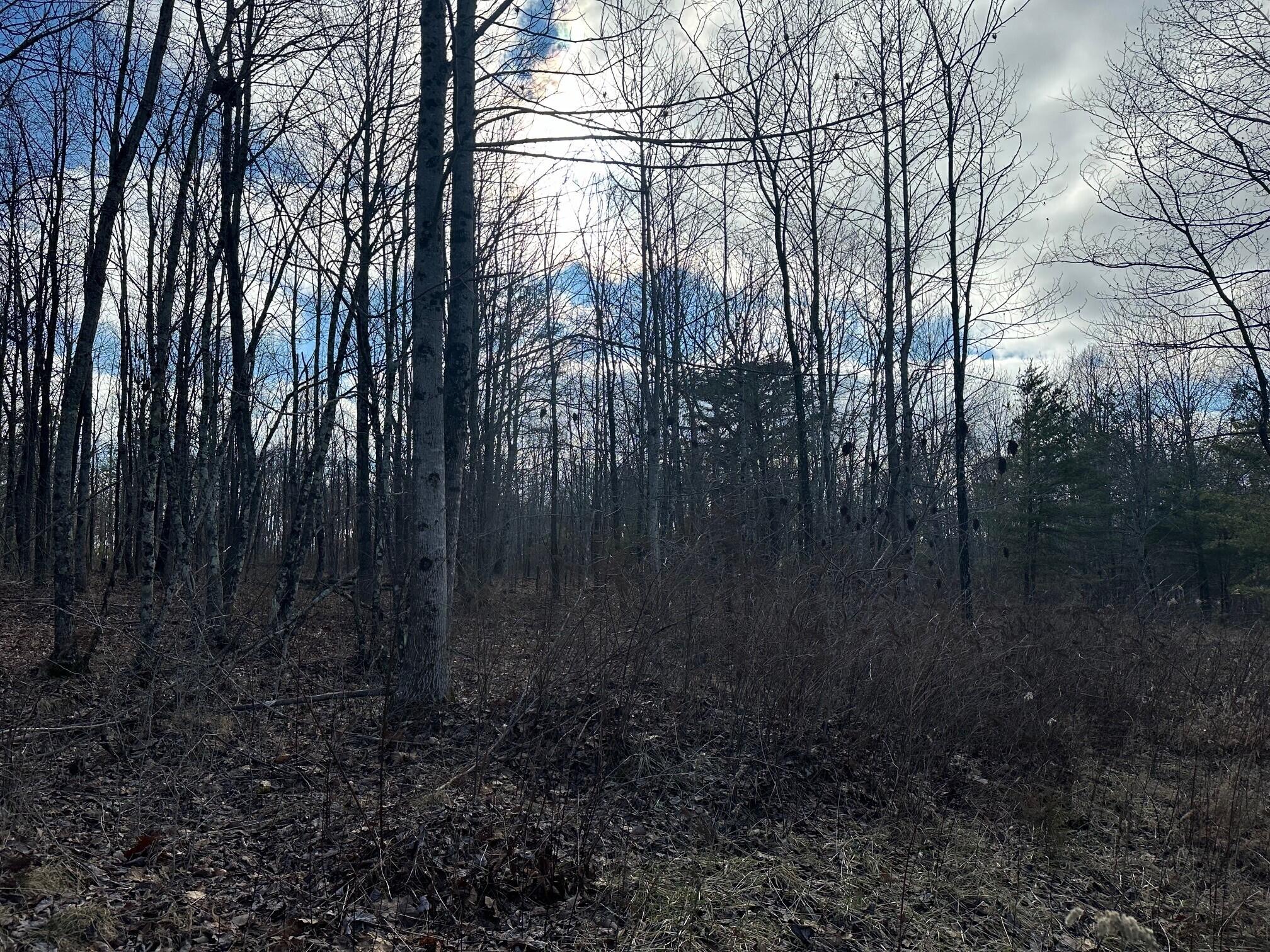 5 Palmer Firetower Road Palmer, TN 37365 - Photo 4 of 7 4