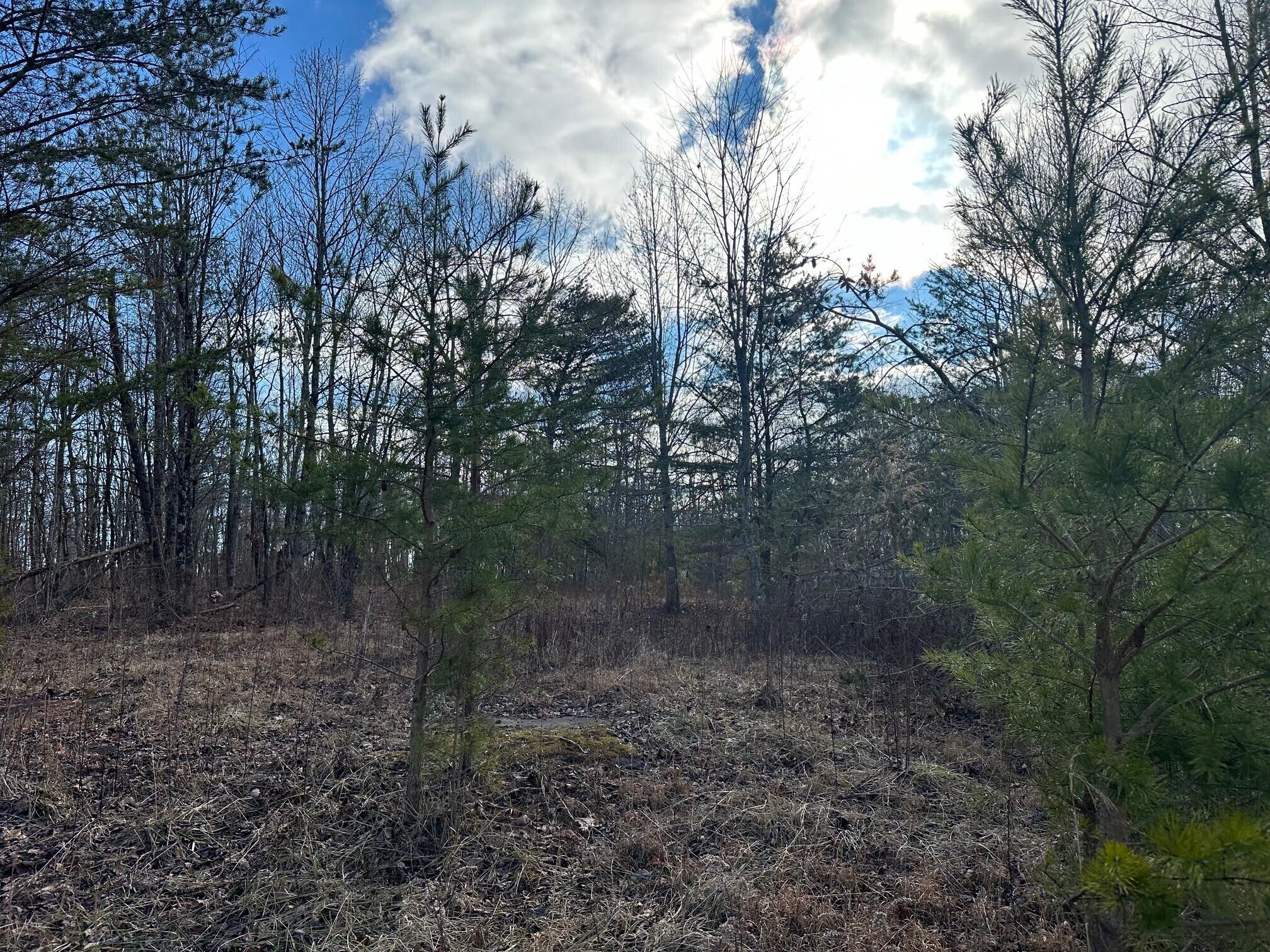 5 Palmer Firetower Road Palmer, TN 37365 - Photo 5 of 7 5