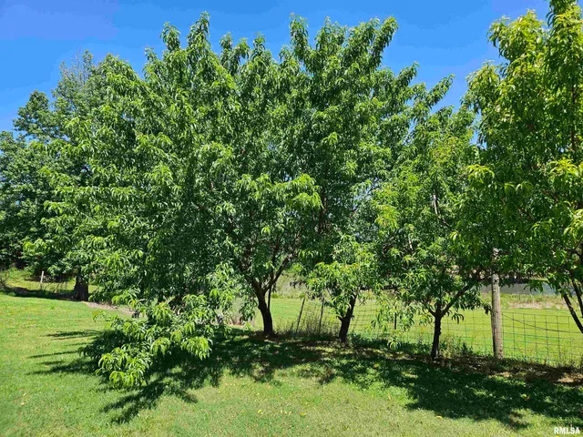 $215,900 | 550 South Vienna Road, Olmsted, IL 62970