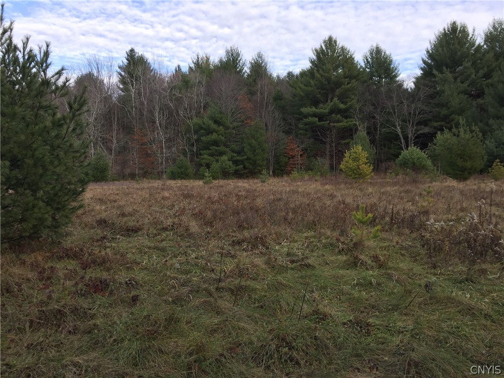 0 Walker Road Boonville, NY 13309 - Photo 1 of 1 Gallery Image 1