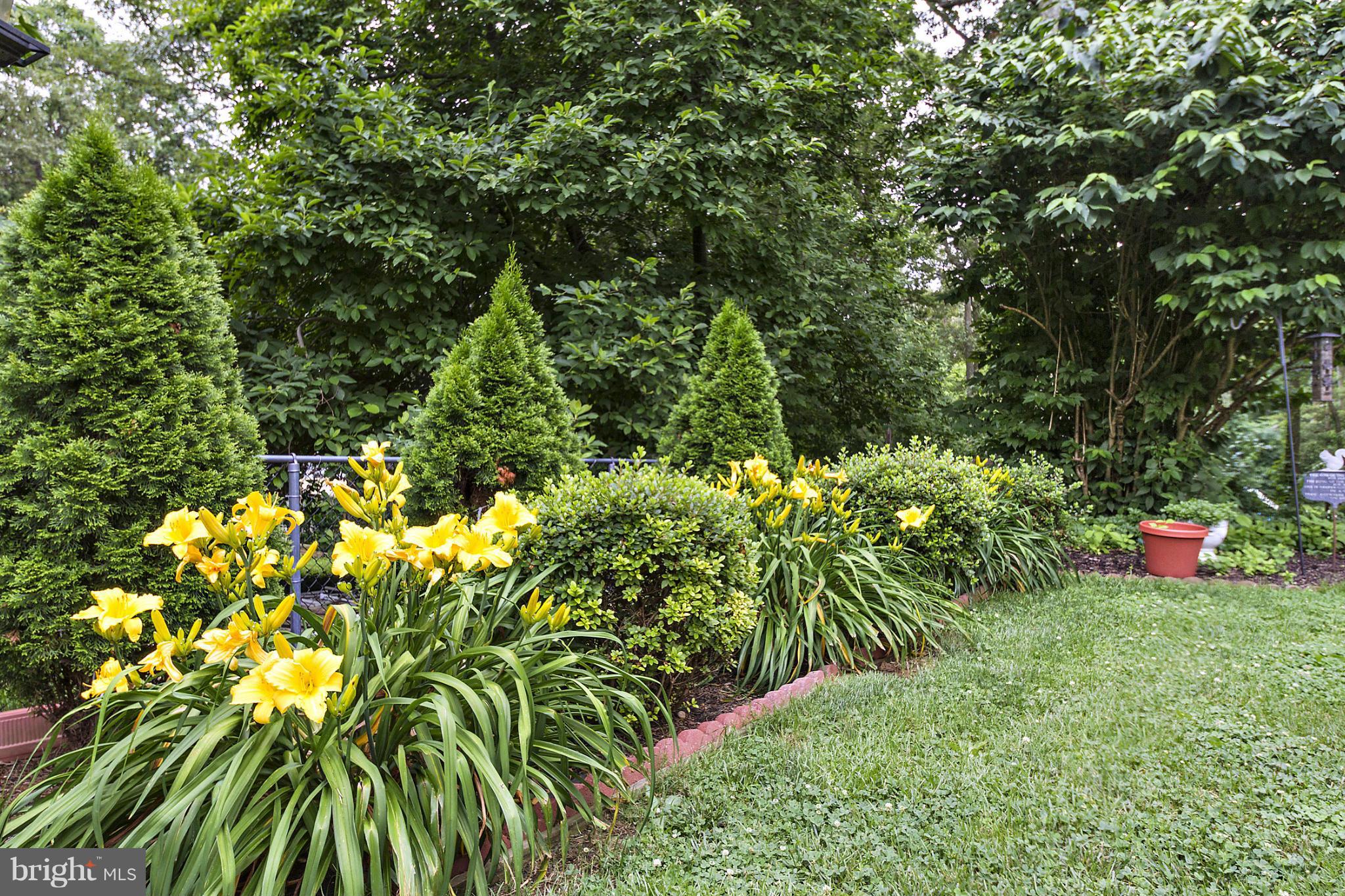1543 Long Point Road Pasadena, MD 21122 - Photo 23 of 30 LANDSCAPING