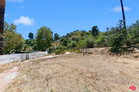 a view of a dry yard with trees