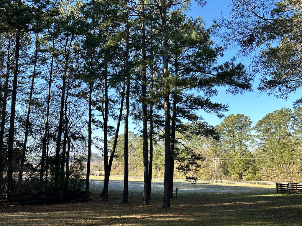 430 George Boutwell Cutoff Road Laurel, MS 39443 - Photo 52 of 52 Gallery Image 52