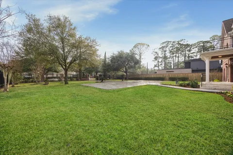 a view of a park with large trees