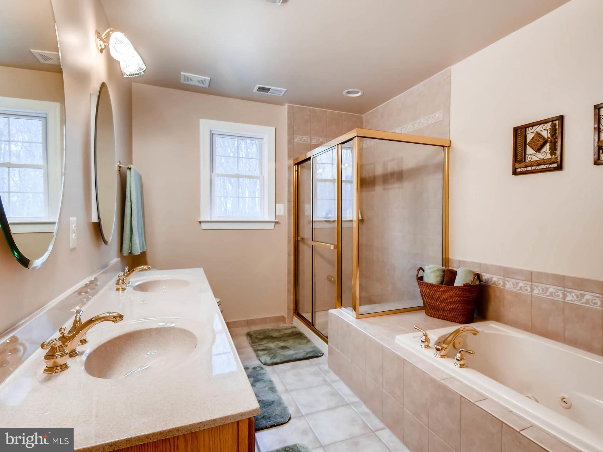 3650 Revolea Beach Road Baltimore, MD 21220 - Photo 17 of 30 Dual vanities and Jet tub