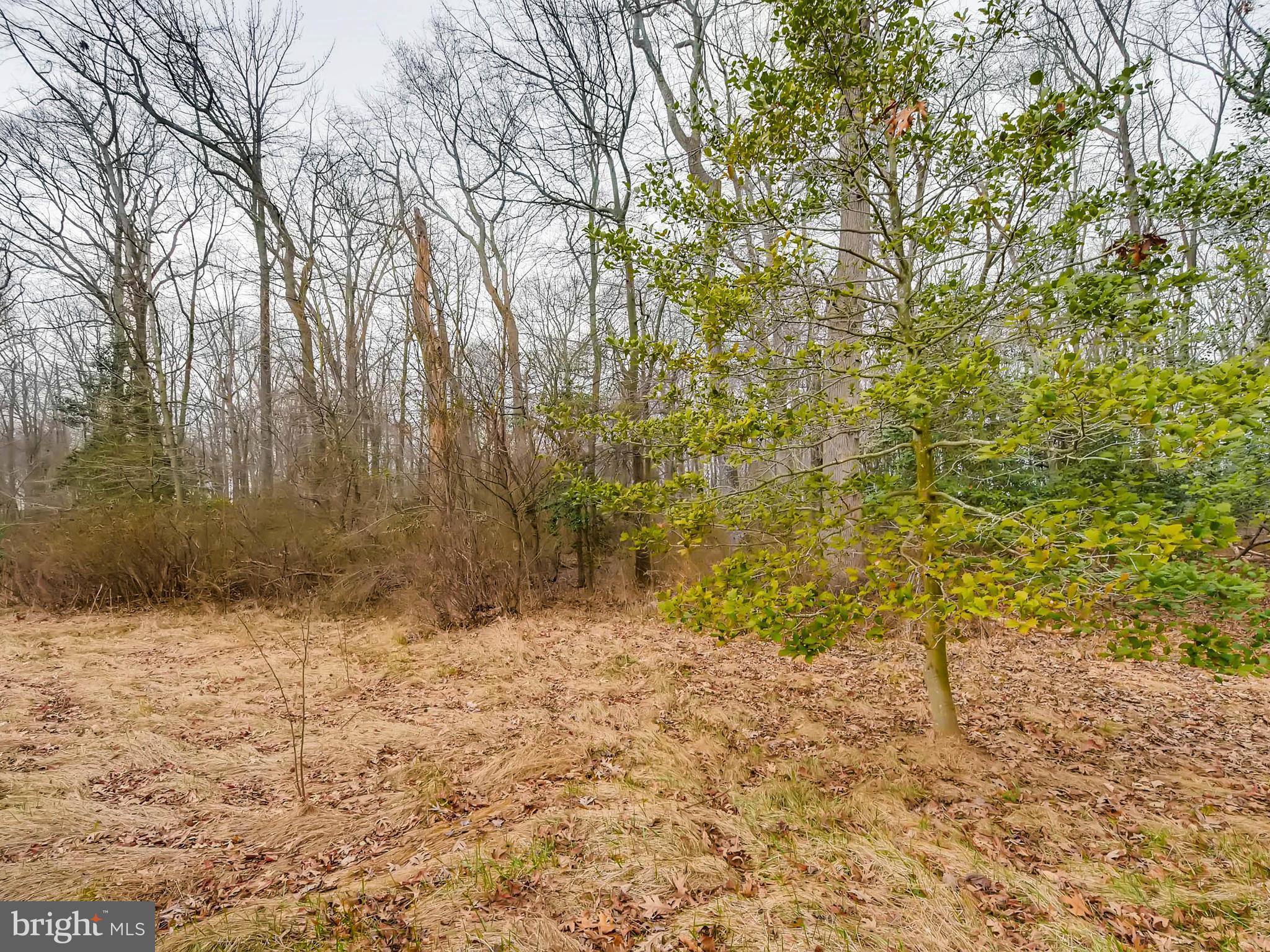 3650 Revolea Beach Road Baltimore, MD 21220 - Photo 29 of 30 Land beyond privacy fence