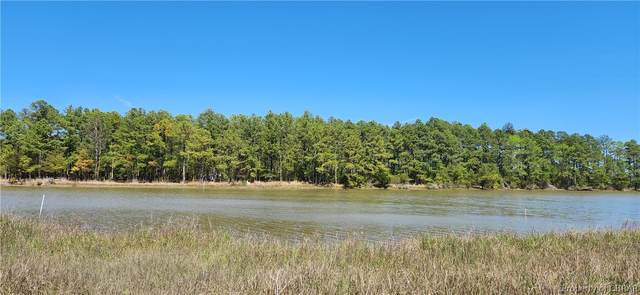 0 Piney Point Road Onemo, VA 23130 - Photo 7 of 14