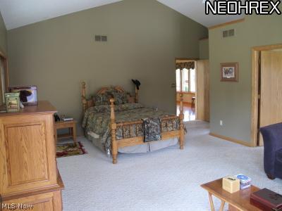 6099 Grove Road Clinton, OH 44216 - Photo 7 of 20 Spacious Master bedroom with vaulted ceiling and sitting area.