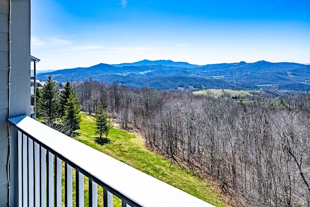 468 Elderberry Ridge Road, Unit 202C Beech Mountain, NC 28604 - Photo 18 of 35