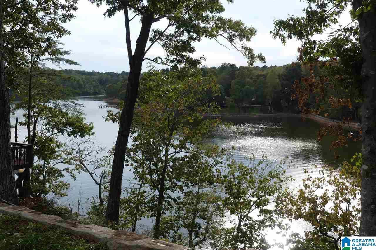 251 Pleasure Point Road Wedowee, AL 36278 - Photo 2 of 31