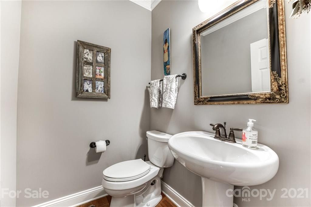 541 Placid Court Tega Cay, SC 29708 - Photo 17 of 48 Gallery Image 17