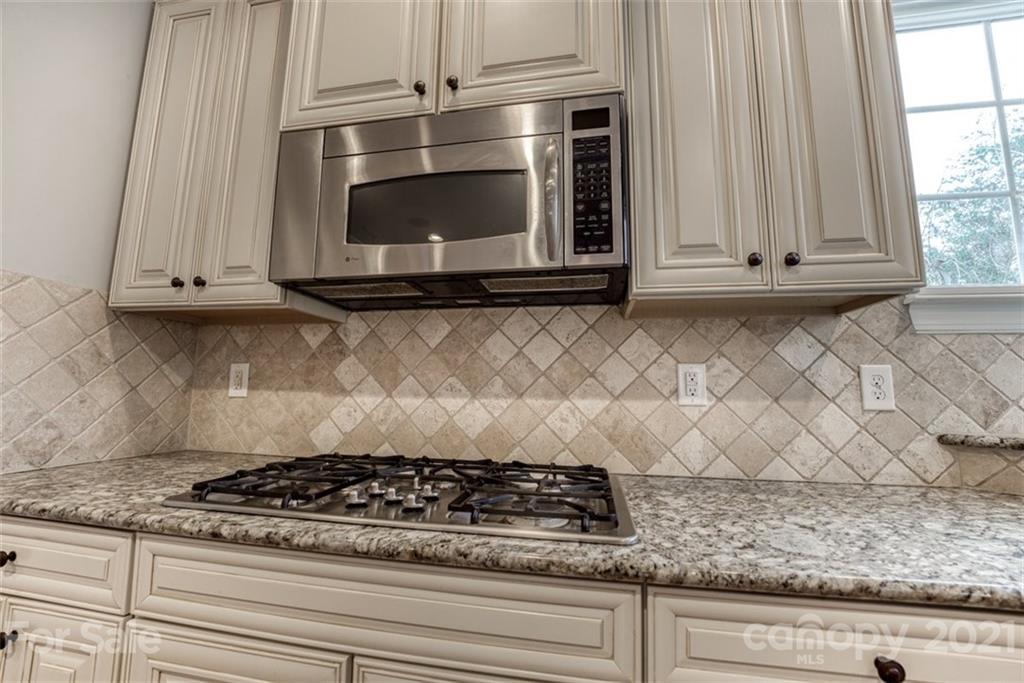 541 Placid Court Tega Cay, SC 29708 - Photo 33 of 48 Gallery Image 33