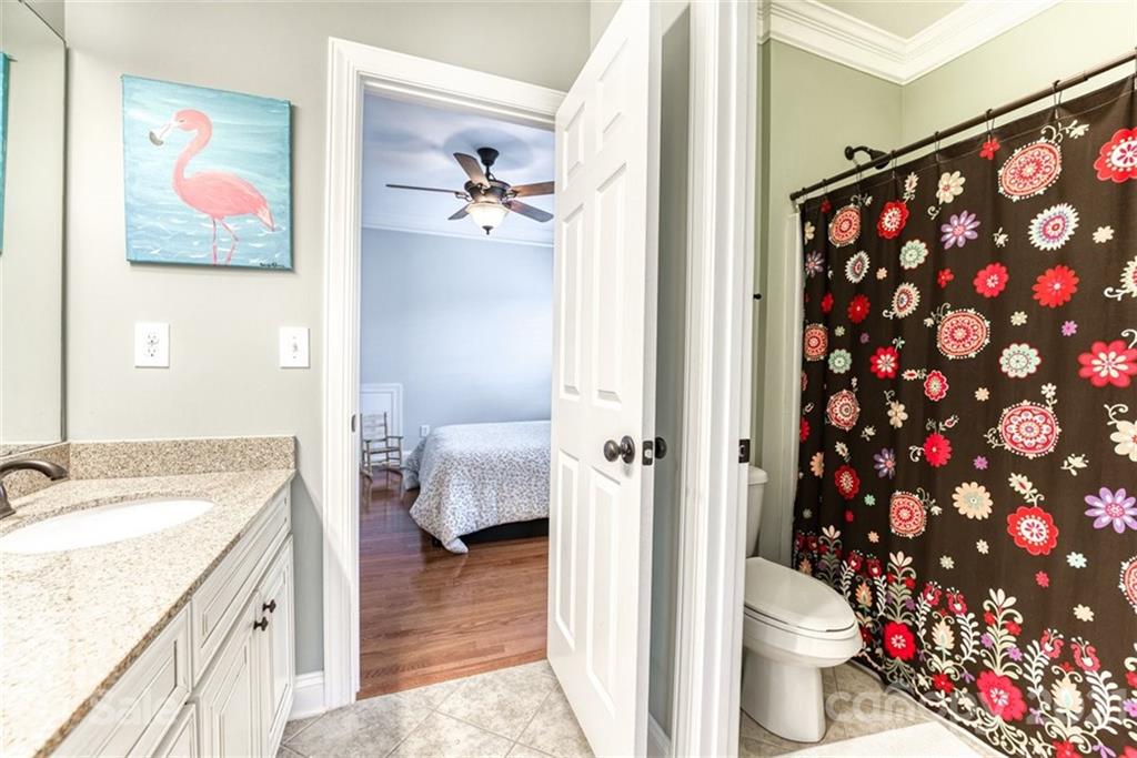 541 Placid Court Tega Cay, SC 29708 - Photo 46 of 48 Gallery Image 46