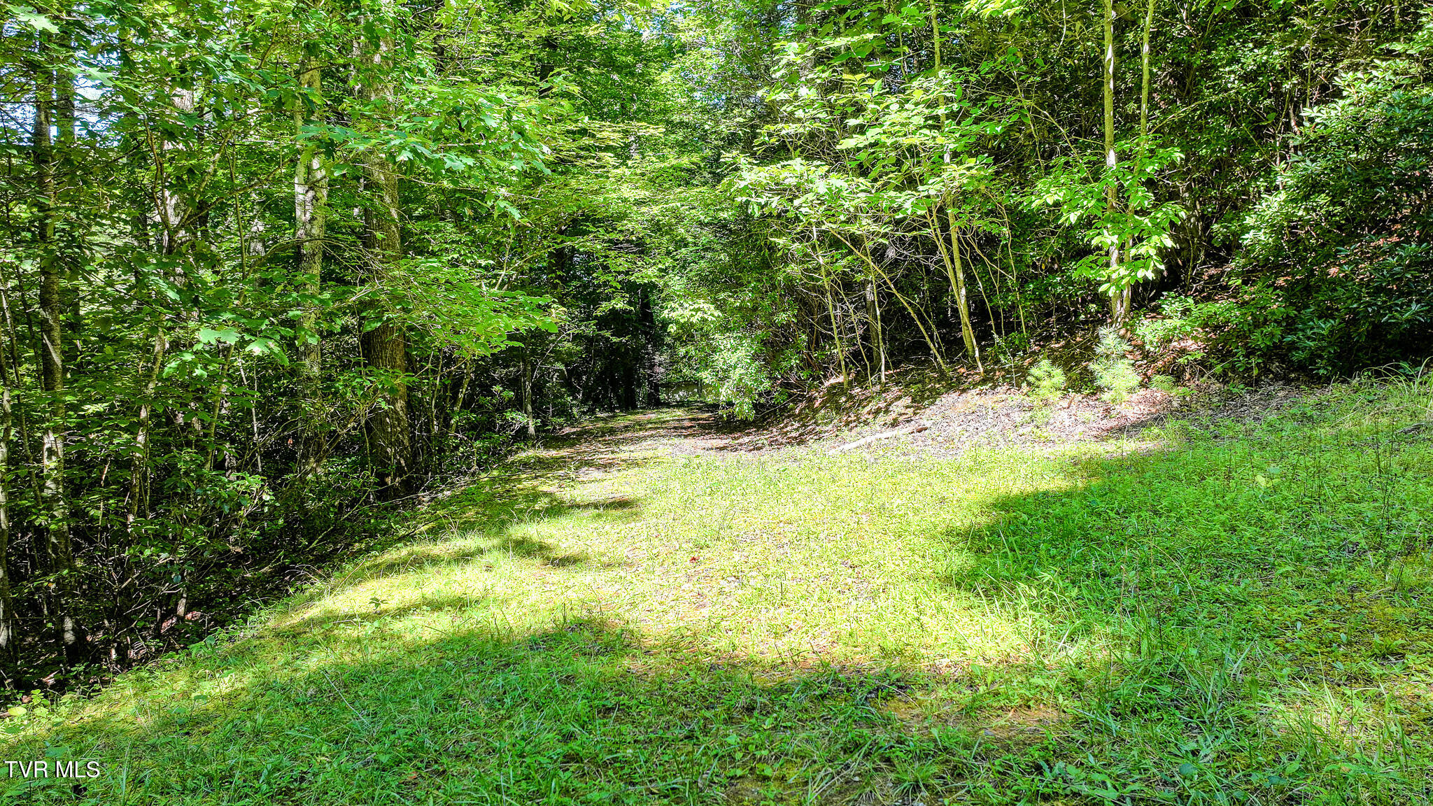 390 Fiddlers Branch Road Hampton, TN 37658 - Photo 65 of 79 66