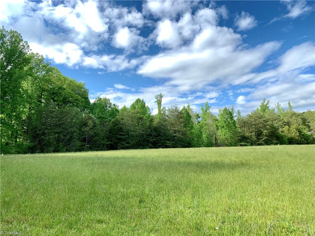 7720 Boyer Farm Road Walnut Cove, NC 27052 - Photo 11 of 49 Standing in front hay field looking north