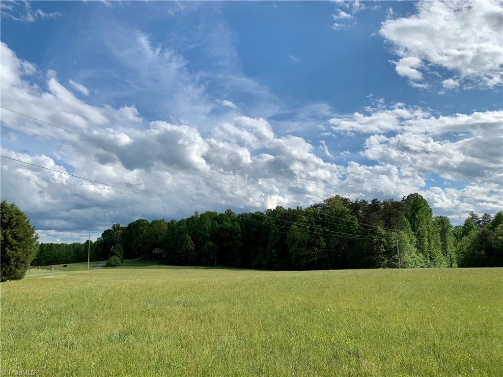 7720 Boyer Farm Road Walnut Cove, NC 27052 - Photo 12 of 49 Standing in front hay field looking south
