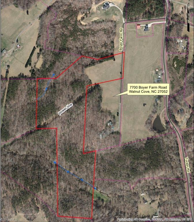 7720 Boyer Farm Road Walnut Cove, NC 27052 - Photo 19 of 49 surrounded by big woods